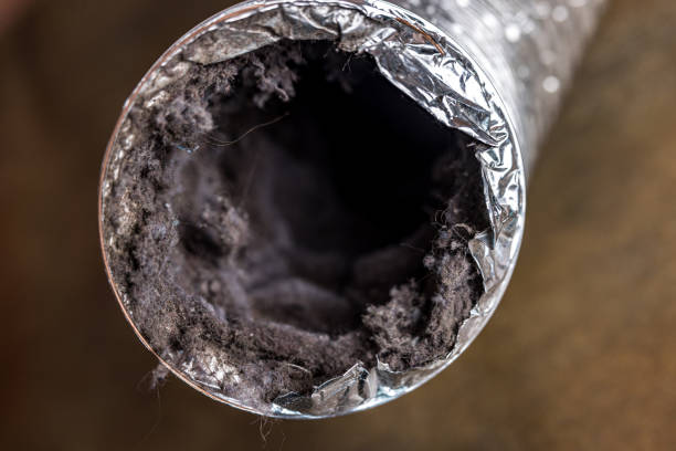 Best HVAC Air Duct Cleaning  in Arcade, GA