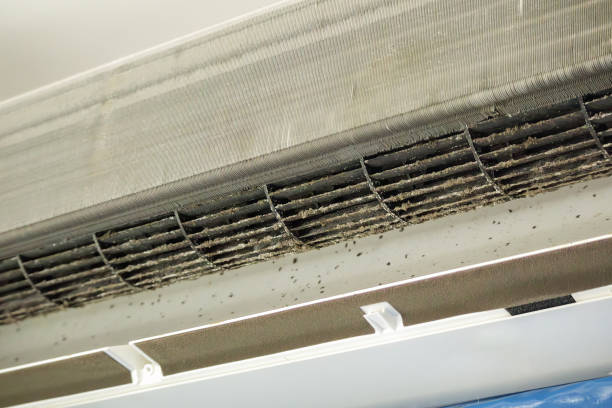 Best Professional Duct Cleaning Services  in Arcade, GA