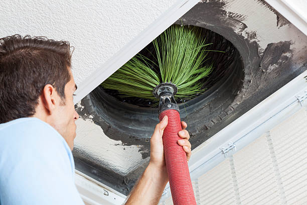 Best Air Duct Mold Removal  in Arcade, GA